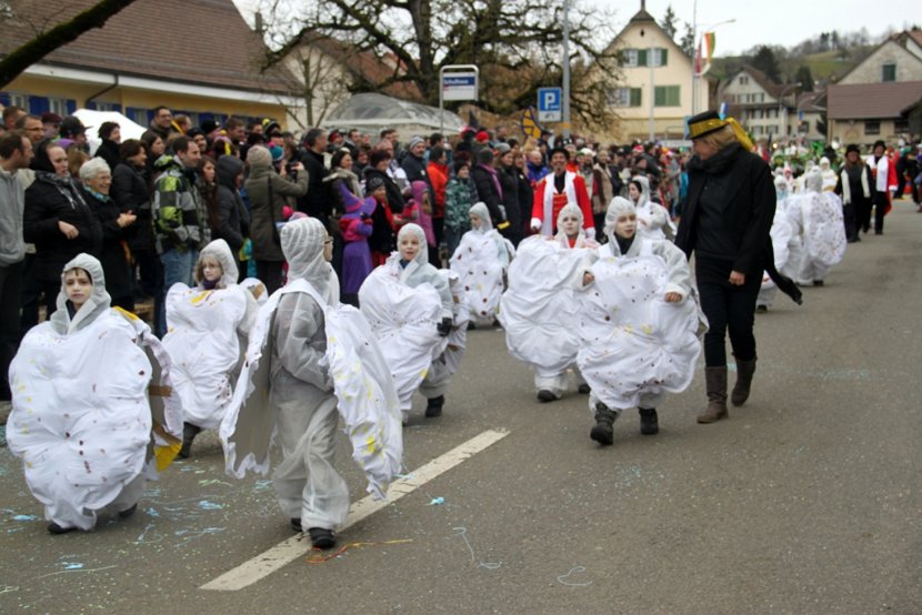 Sarmenstorf Fasnachtsumzug 16.02.2014 (12)